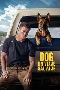 Dog - Poster