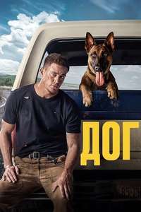 Dog - Poster