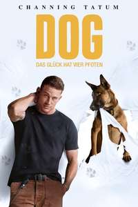 Dog - Poster