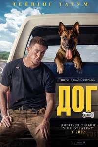 Dog - Poster