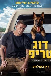 Dog - Poster