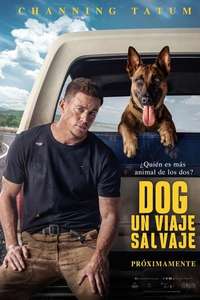 Dog - Poster