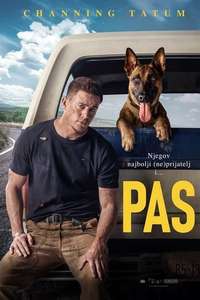 Dog - Poster