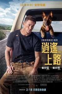 Dog - Poster
