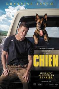 Dog - Poster