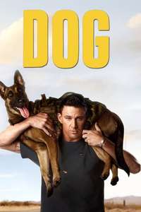 Dog - Poster