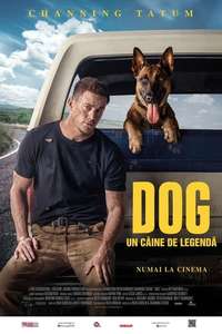 Dog - Poster