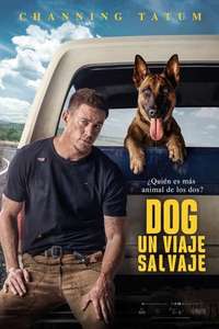 Dog - Poster