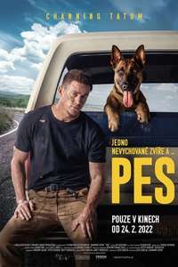 Dog - Poster