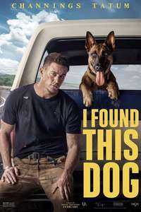 Dog - Poster