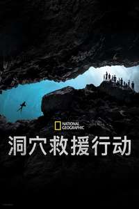The Rescue - Posters