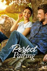 A Perfect Pairing - Poster