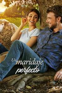 A Perfect Pairing - Poster