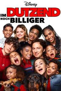 Cheaper by the Dozen - Posters