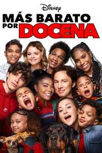 Cheaper by the Dozen - Posters
