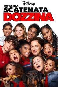 Cheaper by the Dozen - Posters