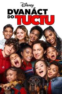 Cheaper by the Dozen - Posters