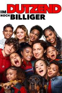 Cheaper by the Dozen - Posters