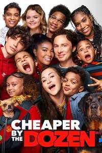 Cheaper by the Dozen - Posters
