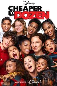 Cheaper by the Dozen - Posters