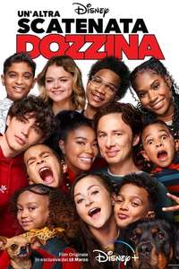 Cheaper by the Dozen - Posters