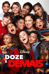 Cheaper by the Dozen - Posters