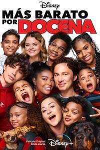 Cheaper by the Dozen - Posters