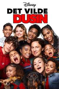 Cheaper by the Dozen - Posters