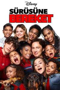 Cheaper by the Dozen - Posters