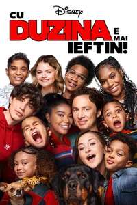 Cheaper by the Dozen - Posters