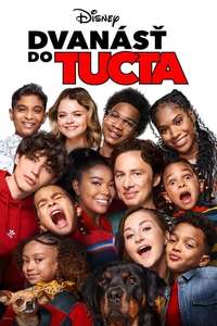 Cheaper by the Dozen - Posters