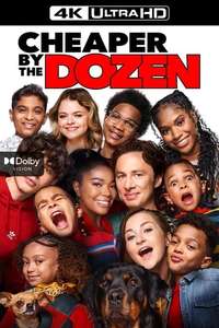 Cheaper by the Dozen - Posters