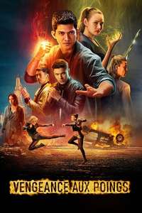 Fistful of Vengeance - Poster