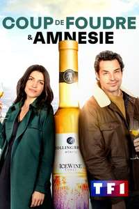 The Perfect Pairing - Poster