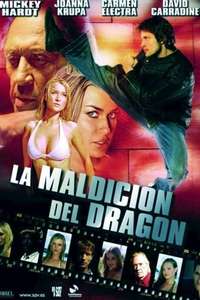 Max Havoc: Curse Of The Dragon - Posters