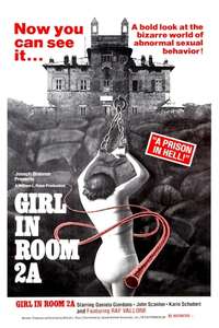 The Girl in Room 2A - Posters