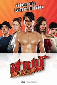 Fist Of Stardom - Poster