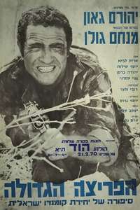 Eagles Attack At Dawn - Poster