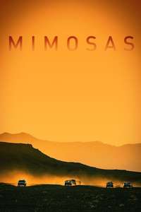 Mimosas - Posters