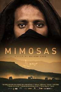 Mimosas - Posters