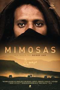 Mimosas - Posters