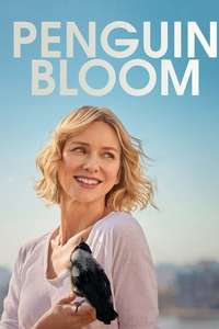 Penguin Bloom - Poster