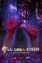 All Small Bodies