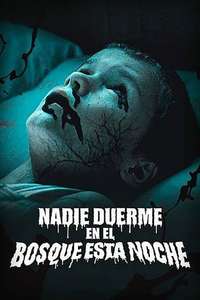 Nobody Sleeps in the Woods Tonight - Poster
