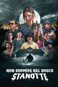 Nobody Sleeps in the Woods Tonight - Poster