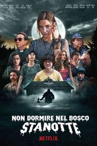 Nobody Sleeps in the Woods Tonight - Poster