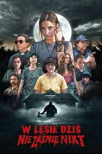 Nobody Sleeps in the Woods Tonight - Poster
