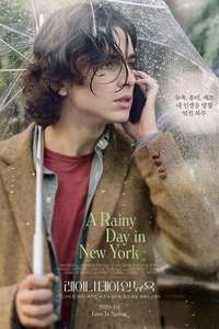 A Rainy Day in New York - Poster