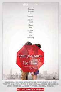 A Rainy Day in New York - Poster