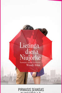 A Rainy Day in New York - Poster